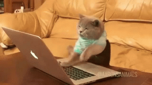 cat-typing